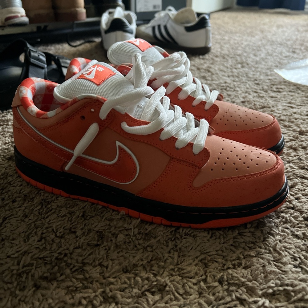 Nike Sb X Concepts Orange Lobster